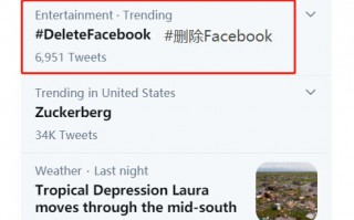 “删除Facebook”登上美国热搜