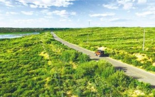 毛乌素沙漠即将从陕西版图“消失”沙化治理率93.24%