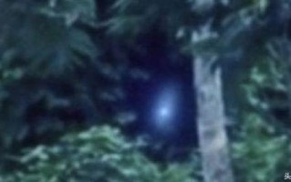 巴西亚马逊外星人事件，影片惊现奇异生物形似外星人