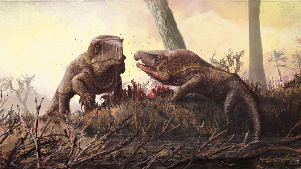 三叠纪时期的恐龙为什么拥有巨大的头部？-第1张图片-IT新视野