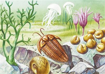 2.5亿年前的二叠纪末 是谁“谋杀”了海洋中的八成生物-第2张图片-IT新视野