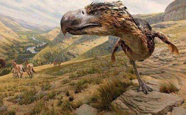 恐龙灭绝后的统治者，地球最后的“鸟皇帝”——恐鹤-第2张图片-IT新视野