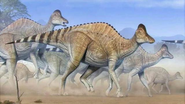 中科院科学家疑似发现恐龙DNA，却被引起质疑，争论焦点何在？-第2张图片-IT新视野