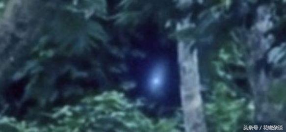 巴西亚马逊外星人事件，影片惊现奇异生物形似外星人-第1张图片-IT新视野