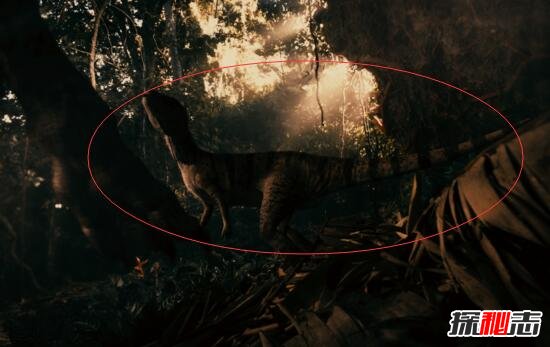 世界上唯一存活的恐龙：刚果恐龙魔克拉姆边贝-第1张图片-IT新视野