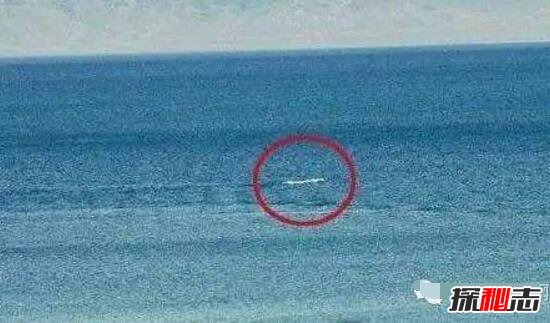 青海湖水怪之谜，体长超过14米形似恐龙-第2张图片-IT新视野