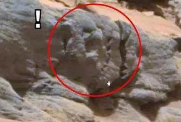 火星发现外星人头骨：五官清晰明了非常真实-第3张图片-IT新视野