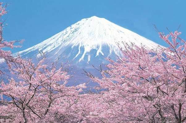 富士山是谁的私人财产：浅间神社（曾经是德川家康的）-第1张图片-IT新视野